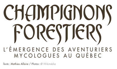 Le Québec sort l'alambic de la remise